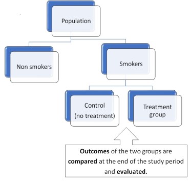 Clinical trials Randomization jp image 1