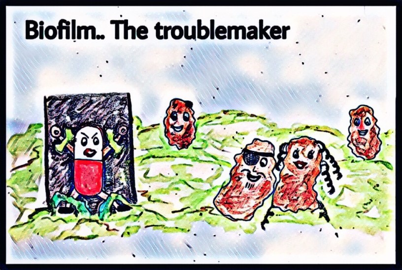 Antibiotic resistance by biofilm The Biotech Notes
