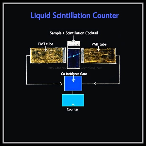 Liquid Scintillation Counter