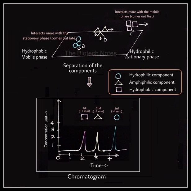 Chromatography separation chromatogram