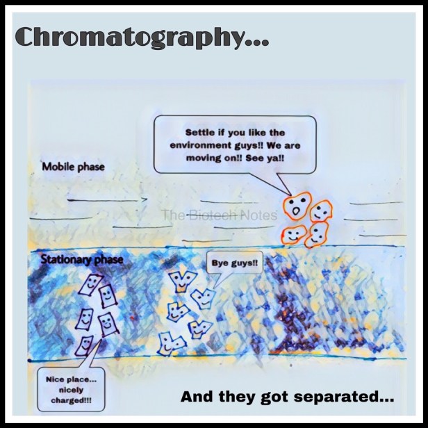 Cartoon chromatography