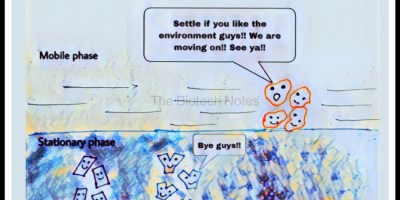Chromatography, separation, cartoon
