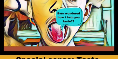 Taste from The Biotech Notes