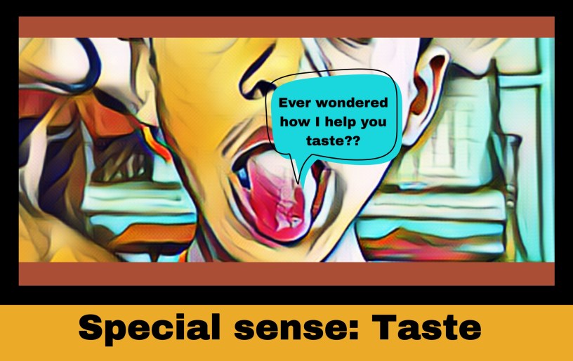 Taste from The Biotech Notes